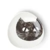 Outlet MIYA Company Black Cat 5-1/2" Plate