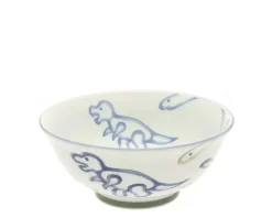 New MIYA Company Bowl Jurassic Dinos Ramen