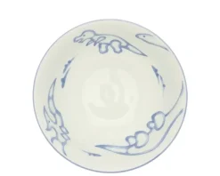 New MIYA Company Bowl Jurassic Dinos Ramen