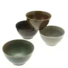 Sale MIYA Company Bowl Set Pacific Forest Matte 4-5/8"