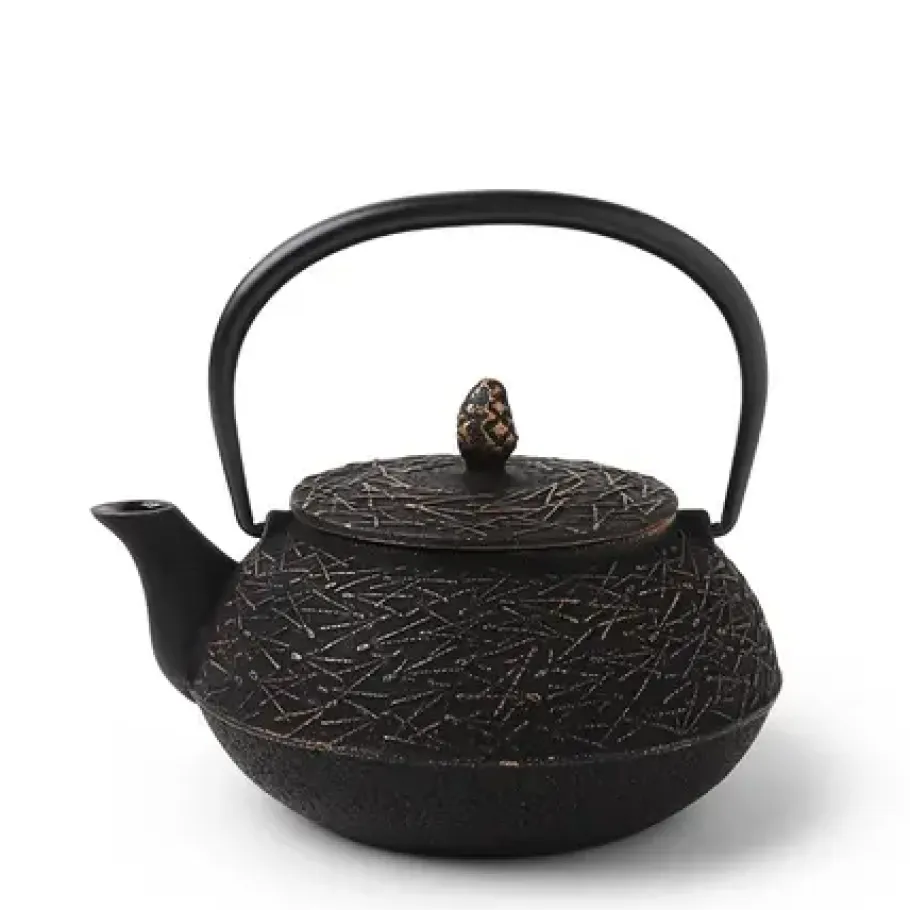 MIYA Company Cast Iron Teapot 0.65L