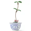 Discount MIYA Company Figurine Potted Plant Fortune Cats