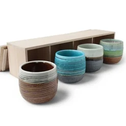 Clearance MIYA Company Haruto 8 Oz. Teacup Set