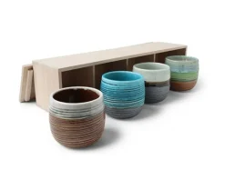 Clearance MIYA Company Haruto 8 Oz. Teacup Set
