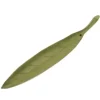 Clearance MIYA Company Incense Holder Gold/Spring Grass Leaf