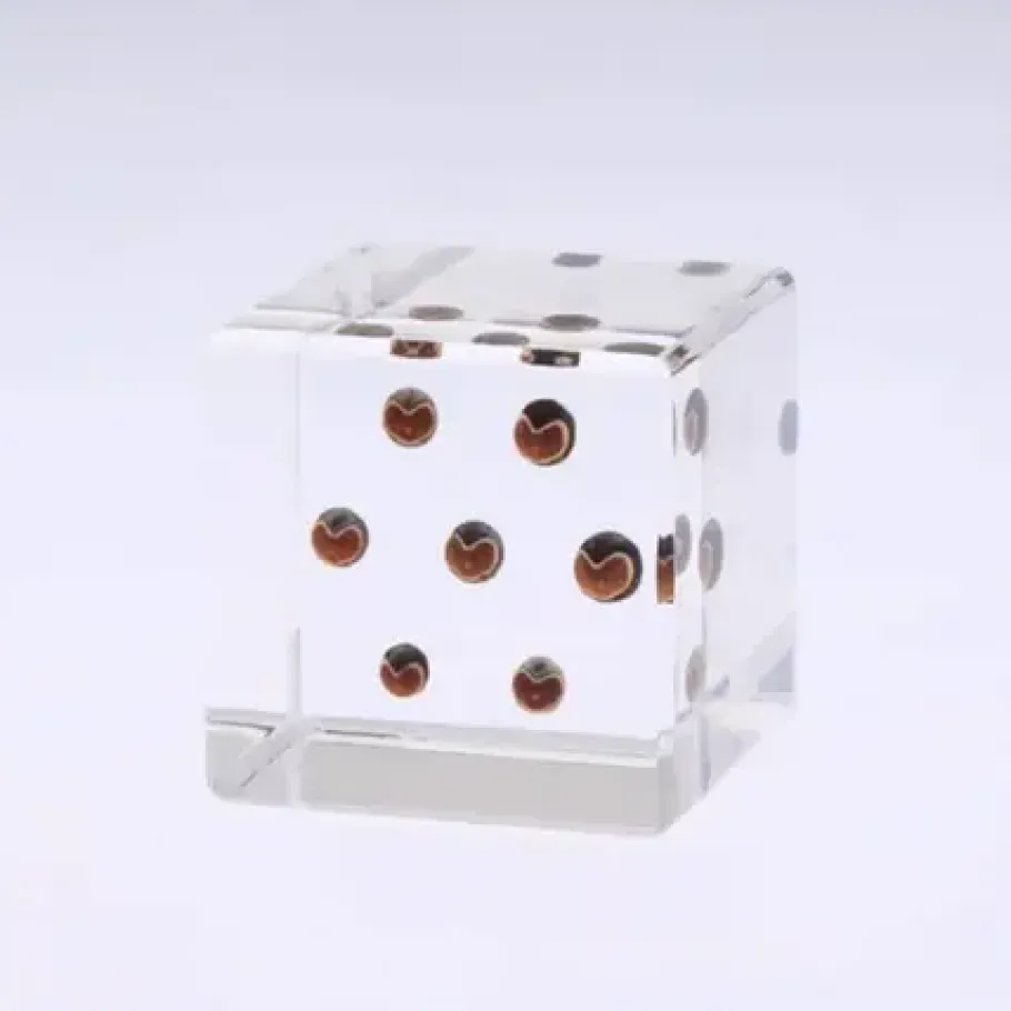 Hot MIYA Company Sola Cube Balloon Plant