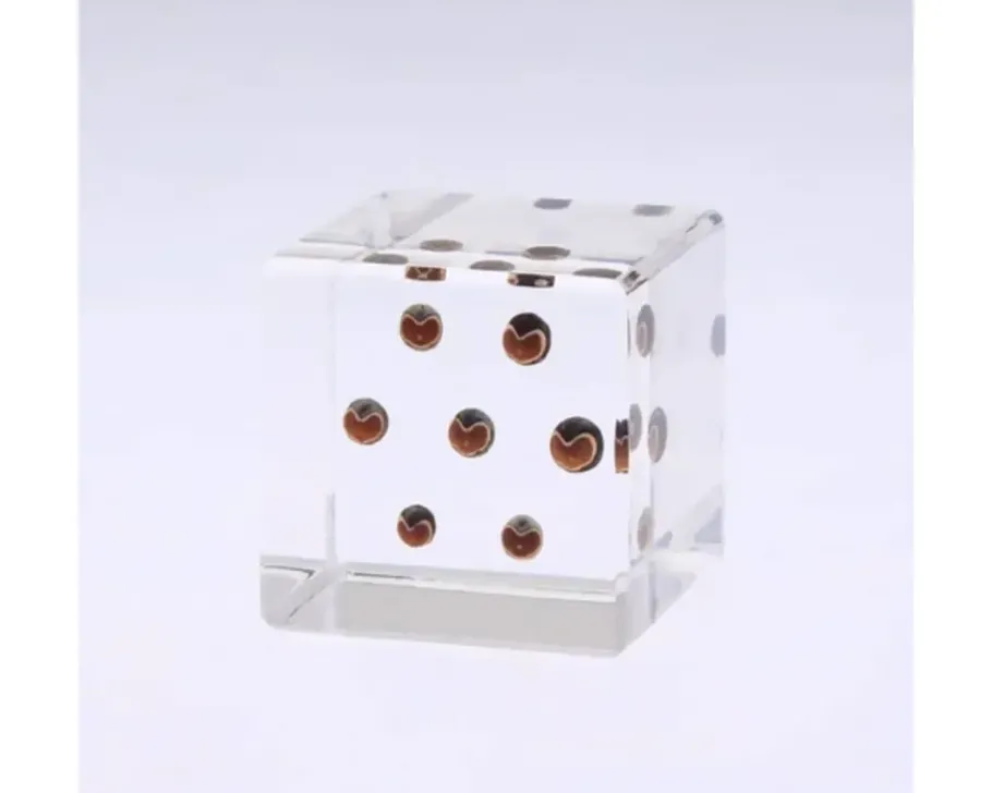Hot MIYA Company Sola Cube Balloon Plant