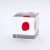 Discount MIYA Company Sola Cube Huayruro Seed