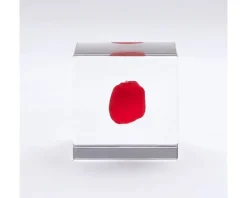 Discount MIYA Company Sola Cube Huayruro Seed