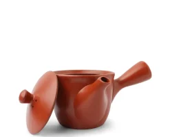 Outlet MIYA Company Teapot Kyu Tokoname Red Conical